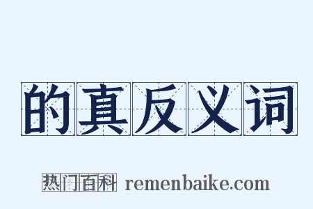 的真反义词是什么意思的图片